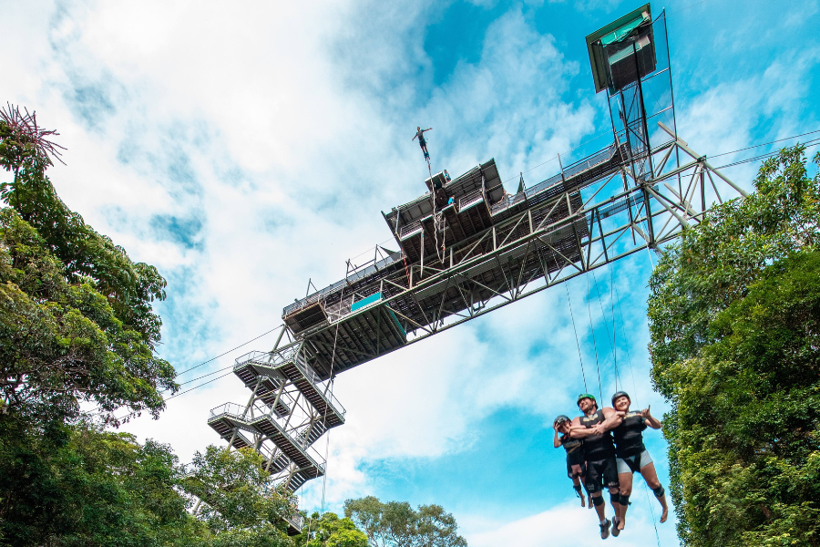 Giant Jungle Swing over rainforest near Cairns