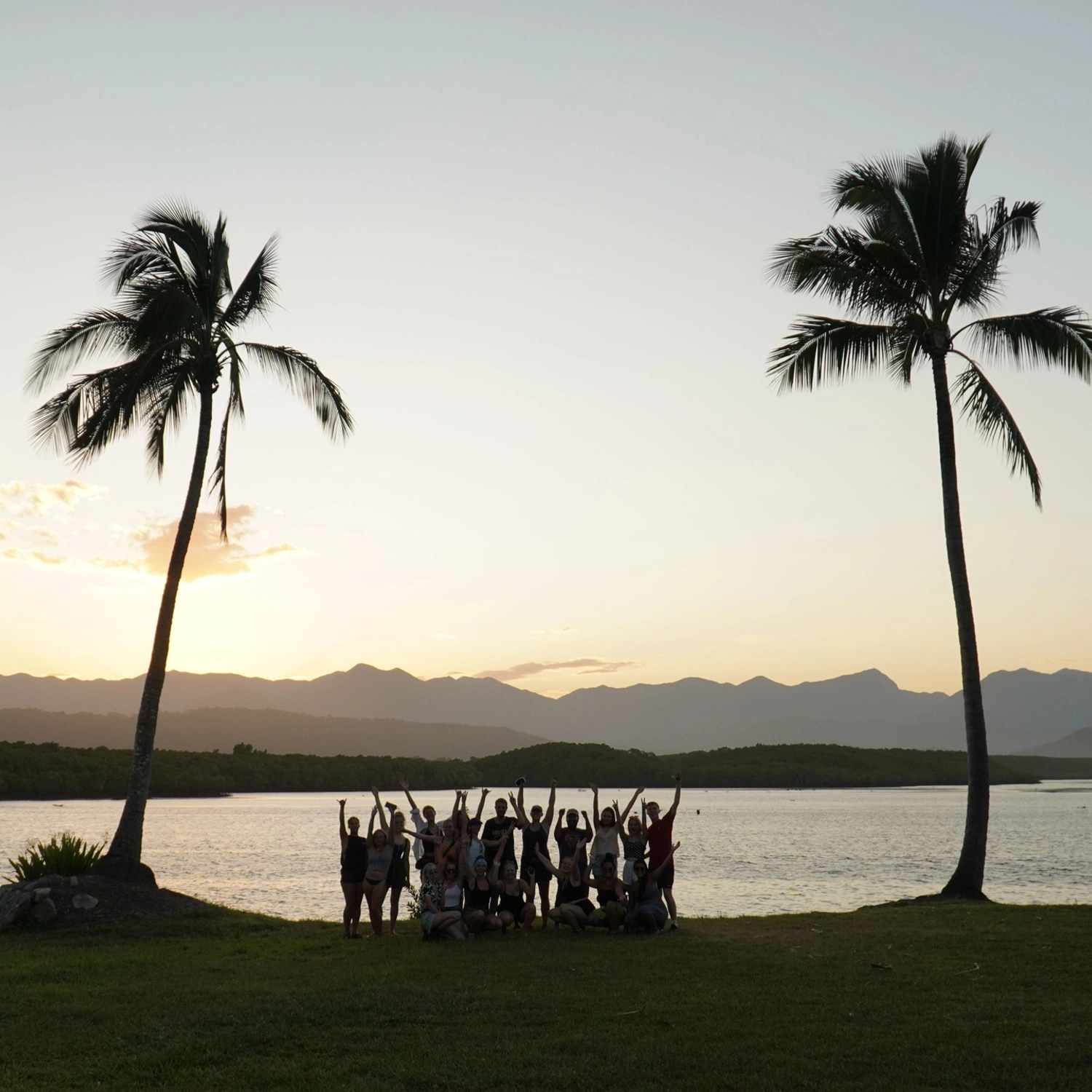 Cape Tribulation Daintree Rainforest tour