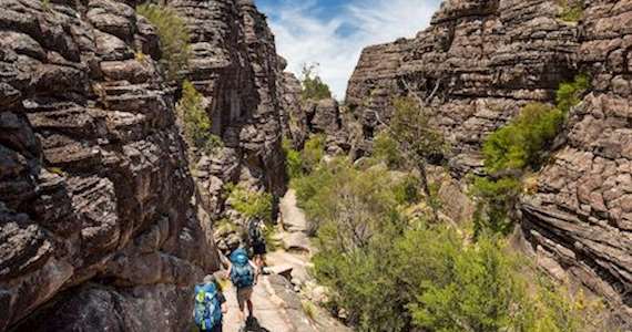 Road through Grampians National Park