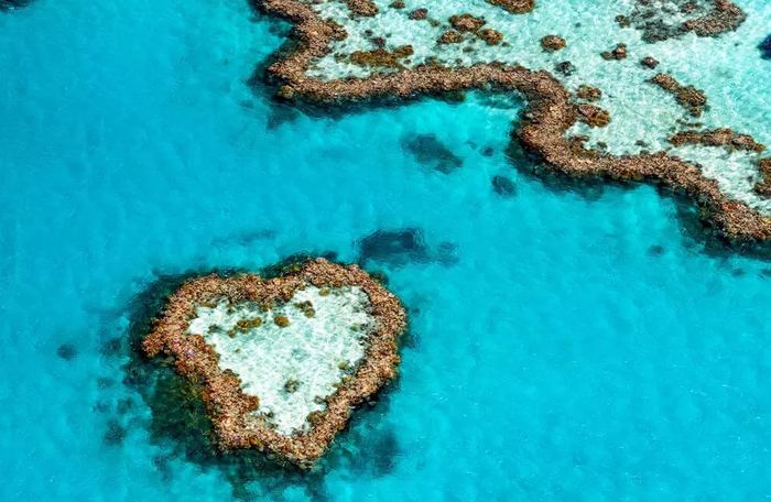 Aerial view of Heart Reef in the Whitsundays