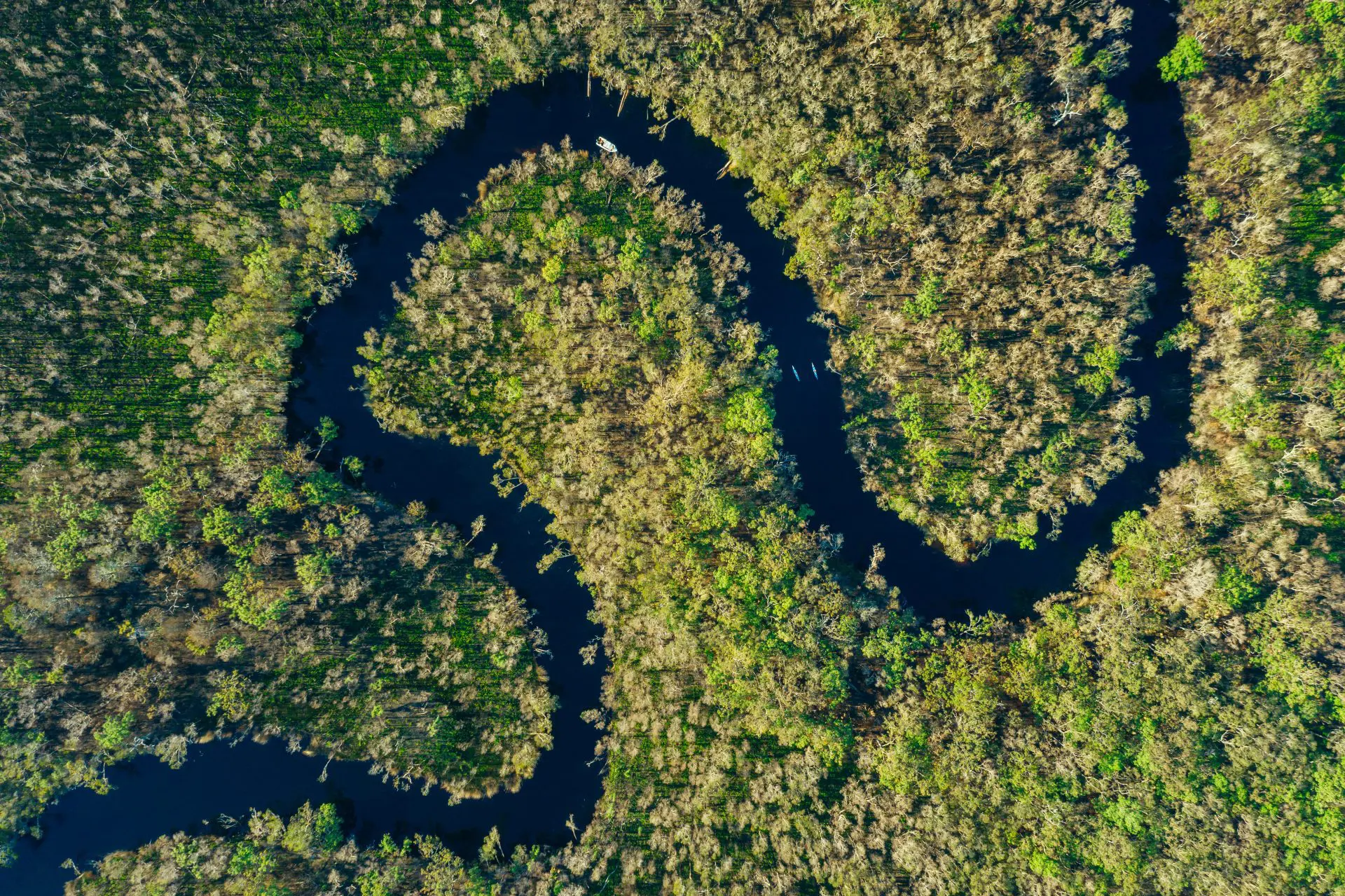 Aerial view of a winding river through lush green forest