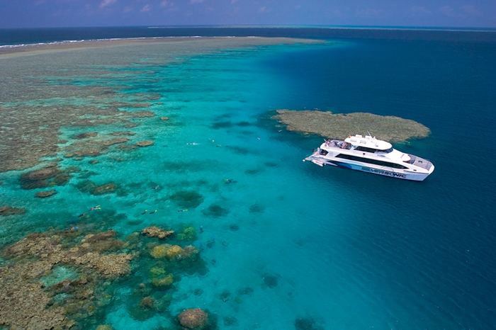 Scuba diver exploring reef